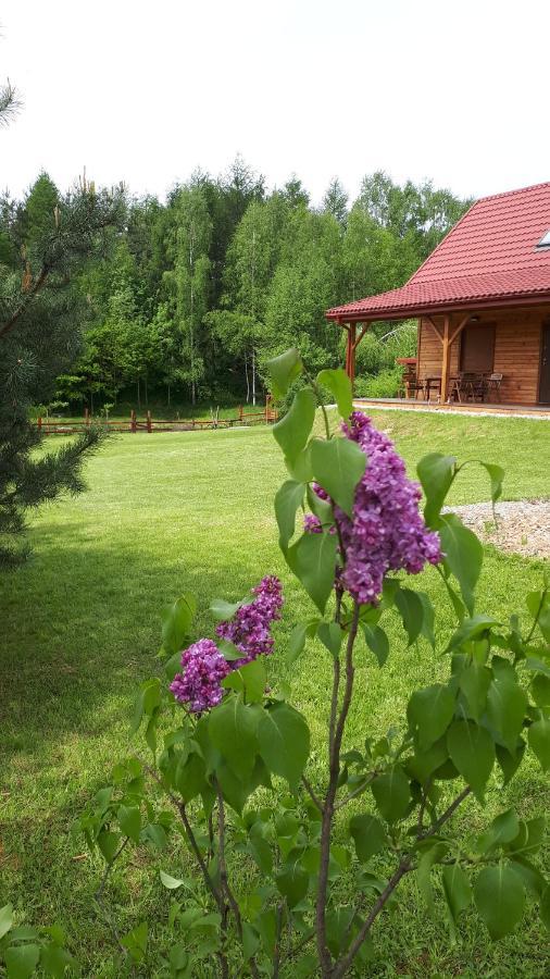 Вилла Dom Nad Dolina Sanu Ruszelczyce Экстерьер фото