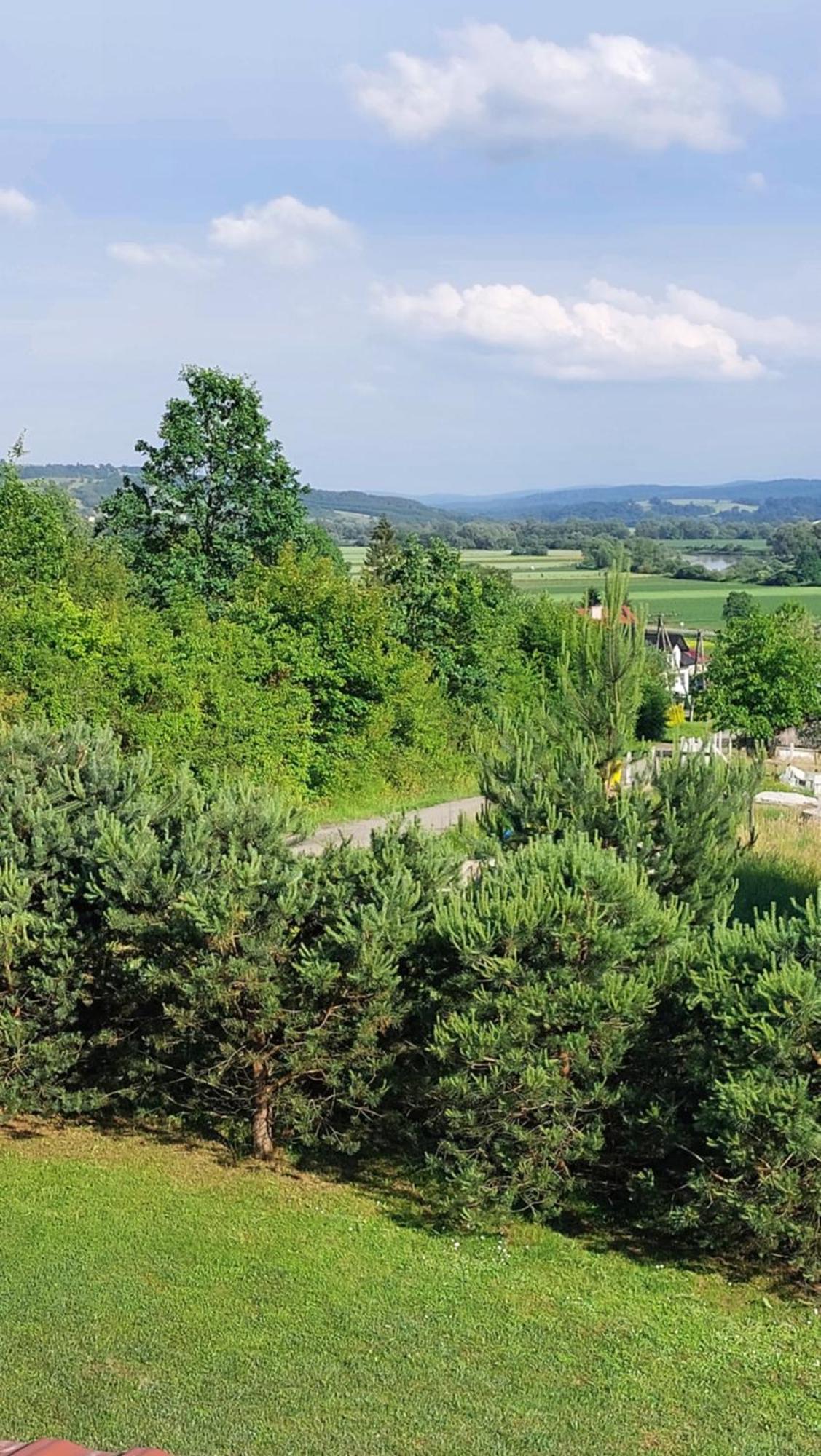 Вилла Dom Nad Dolina Sanu Ruszelczyce Экстерьер фото